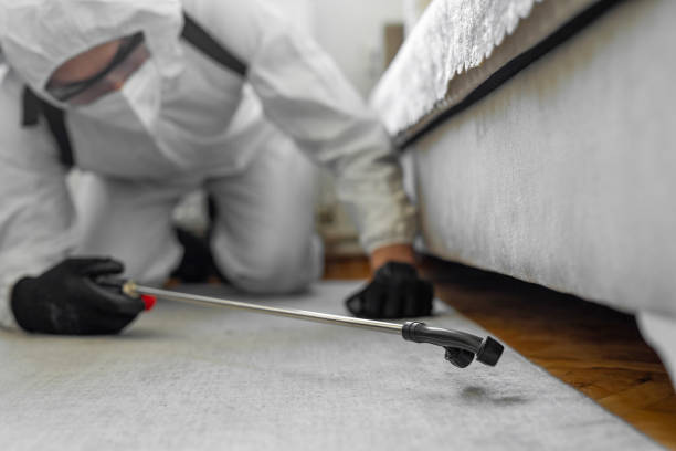 Professional Bed Bug Control technician working in Shamrock, TX