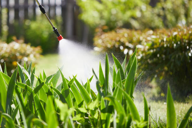 24/7 Emergency Bed Bug Control experts in Shamrock, TX