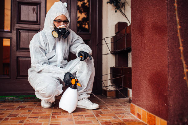 Reliable Bed Bug Control contractor in Shamrock, TX by Nex Pest Control