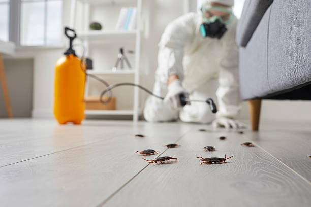Trusted Mosquito Control service in Shamrock, TX - Nex Pest Control