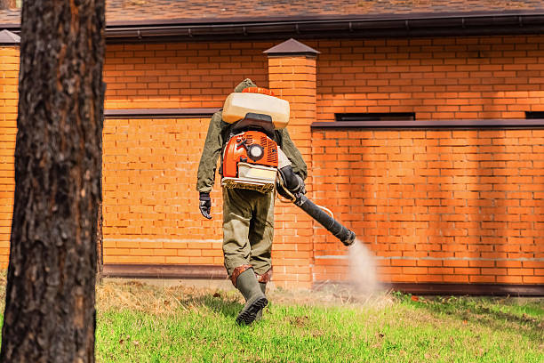 Trusted Emergency Pest Control service in Shamrock, TX - Nex Pest Control